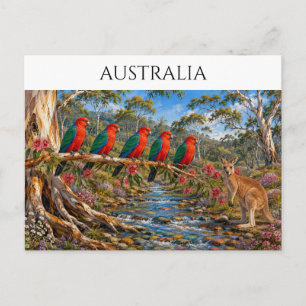 King Parrots Stream Australien Souvenir Postkarte