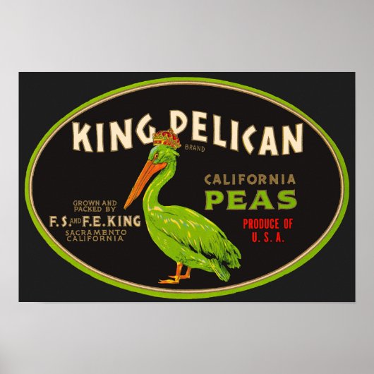 King Pelican California Poster (Vorne)