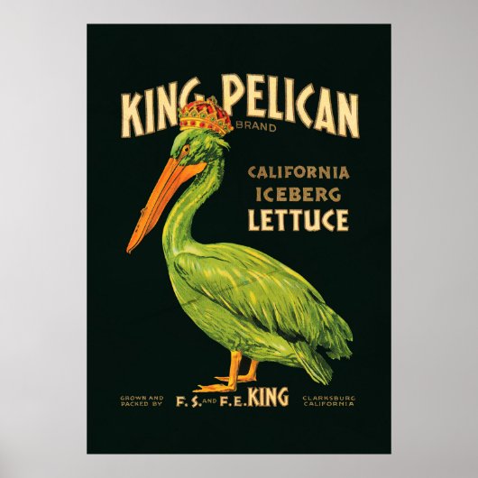 King Pelican Iceberg Lettuce Poster (Vorne)
