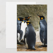 King Penguin Briefpapier (Vorne/Hinten)