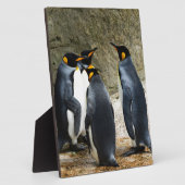 King Penguin Fotoplatte (Seite)