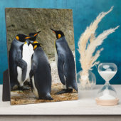 King Penguin Fotoplatte (Seite)