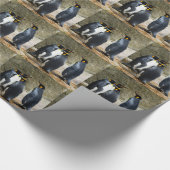 King Penguin Geschenkpapier (Ecke)