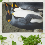 King Penguin Handtuch (Gefaltet)