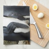 King Penguin Handtuch (Viertel Falte)