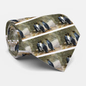 King Penguin Krawatte (Gerollt)