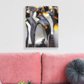 King Penguin mit Chick Leinwanddruck (Insitu (Wohnzimmer))