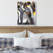 King Penguin mit Chick Leinwanddruck (Insitu (Schlafzimmer))