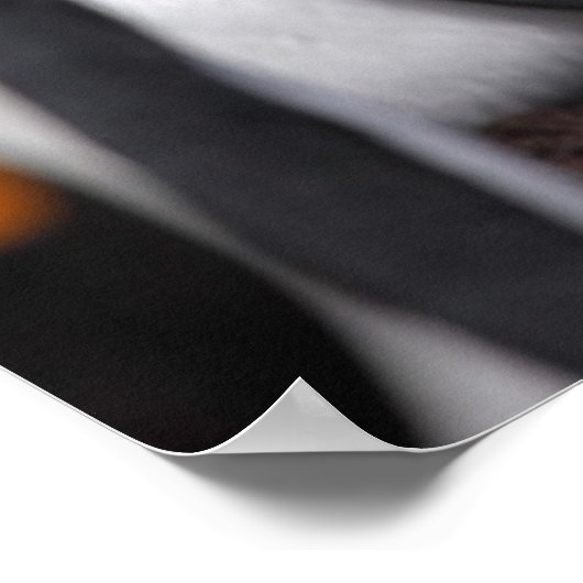 King Penguin mit Chick Poster (Ecke)