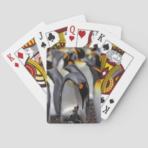 King Penguin mit Chick Spielkarten