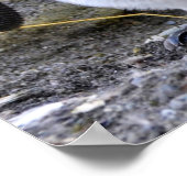 King Penguin mit Eiern Poster (Ecke)