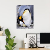 King Penguin mit Eiern Poster (Heimbüro)