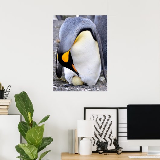 King Penguin mit Eiern Poster (Heimbüro)