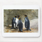 King Penguin Mousepad (Vorne)