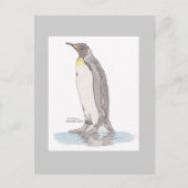 King Penguin Postcard Postkarte (Vorderseite)