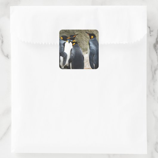 King Penguin Quadratischer Aufkleber (Tasche)
