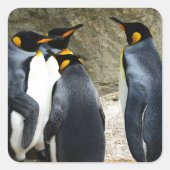 King Penguin Quadratischer Aufkleber (Vorderseite)