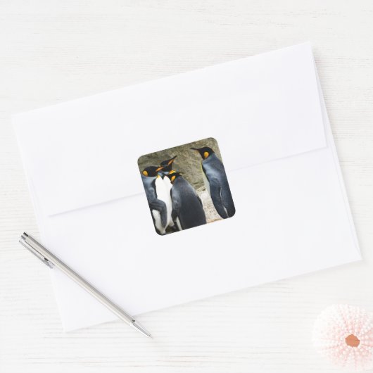 King Penguin Quadratischer Aufkleber (Umschlag)