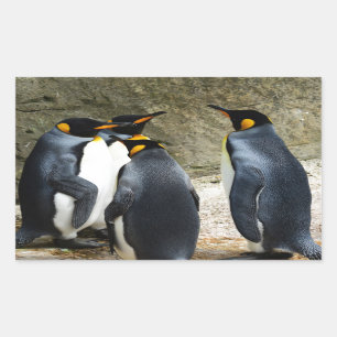 King Penguin Rechteckiger Aufkleber