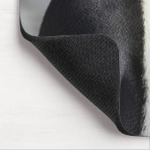 King Penguin, Salisbury Schlicht, Südgeorgien Mousepad (Ecke)