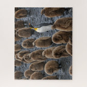 King Penguin und Young Chips in Südgeorgien Puzzle (Vertikal)