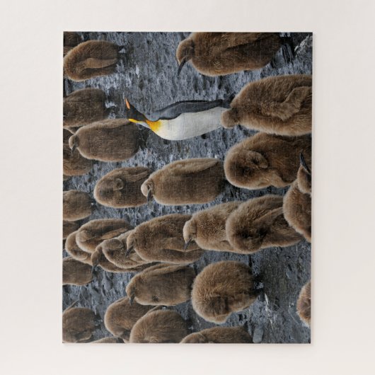 King Penguin und Young Chips in Südgeorgien Puzzle (Vertikal)