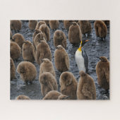 King Penguin und Young Chips in Südgeorgien Puzzle (Horizontal)
