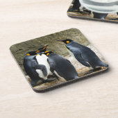 King Penguin Untersetzer (Linke Seite)