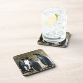 King Penguin Untersetzer (Rechte Seite)