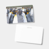 King Penguins Ausweis (Vorder- & Rückseite)