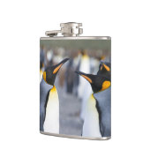 King Penguins Flachmann (Links)