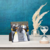 King Penguins Fotoplatte (InSitu)