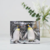 King Penguins Funny Birthday Postcard Postkarte (Stehend Vorderseite)