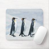 King Penguins gehen in Single-Datei Mousepad (Mit Mouse)