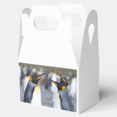 King Penguins Geschenkschachtel (Geöffnet)