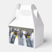 King Penguins Geschenkschachtel (Vorderseite)