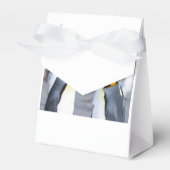 King Penguins Geschenkschachtel (Vorderseite)