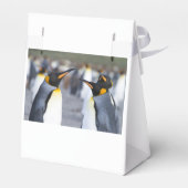 King Penguins Geschenkschachtel (Rückseite)