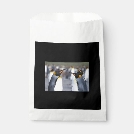King Penguins Geschenktütchen (Vorderseite)