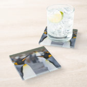 King Penguins Glasuntersetzer (Schrägansicht)