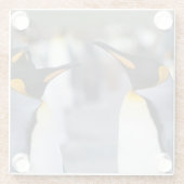 King Penguins Glasuntersetzer (Rückseite)