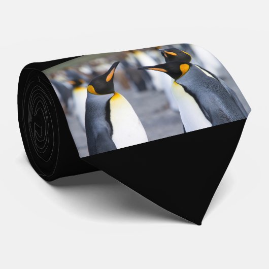 King Penguins Krawatte (Gerollt)