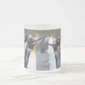 King Penguins Mattglastasse (Mittel)