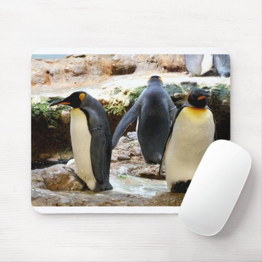 King Penguins Mousepad (Mit Mouse)