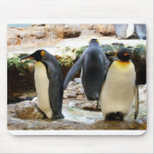 King Penguins Mousepad (Vorne)