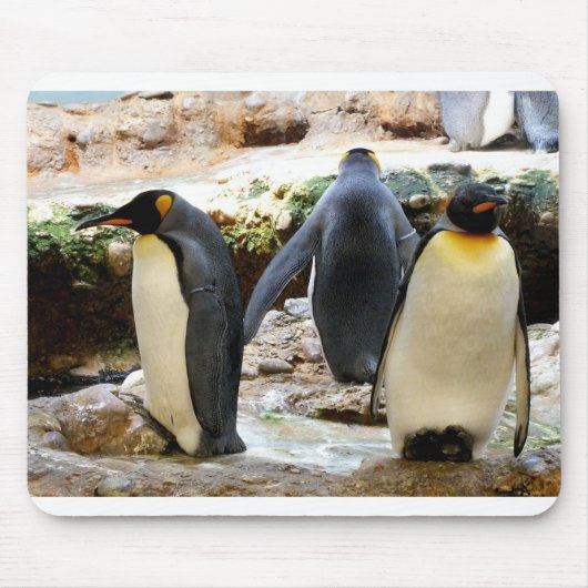King Penguins Mousepad (Vorne)