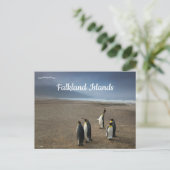 King Penguins on Falkland Islands Postkarte (Stehend Vorderseite)