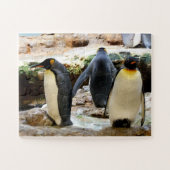 King Penguins Puzzle (Horizontal)