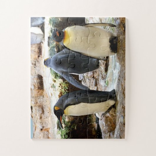 King Penguins Puzzle (Vertikal)