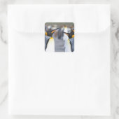King Penguins Quadratischer Aufkleber (Tasche)